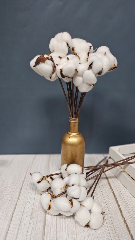 Cotton Flowers