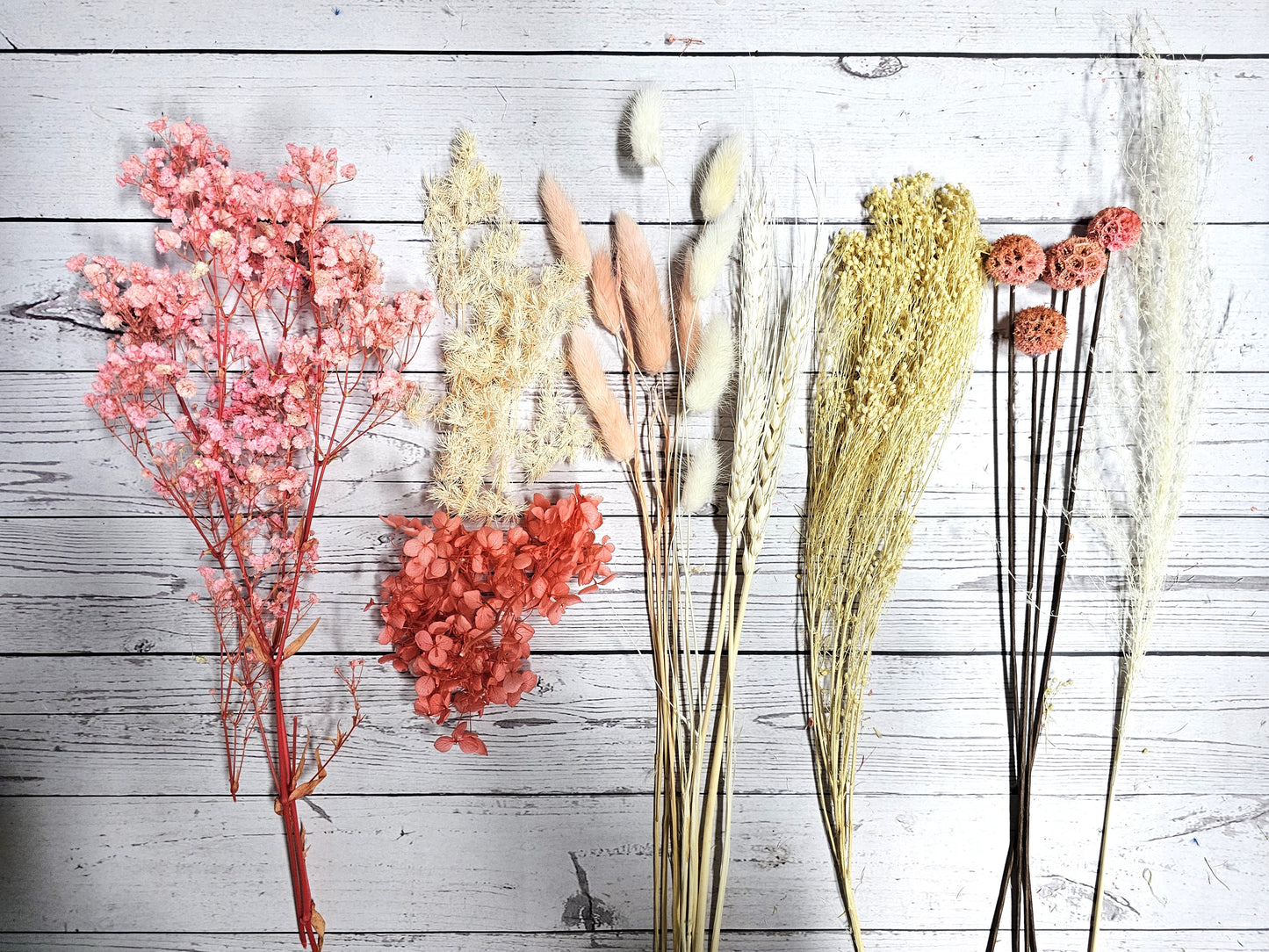 DIY Preserved/Dried Flower Starter Kit