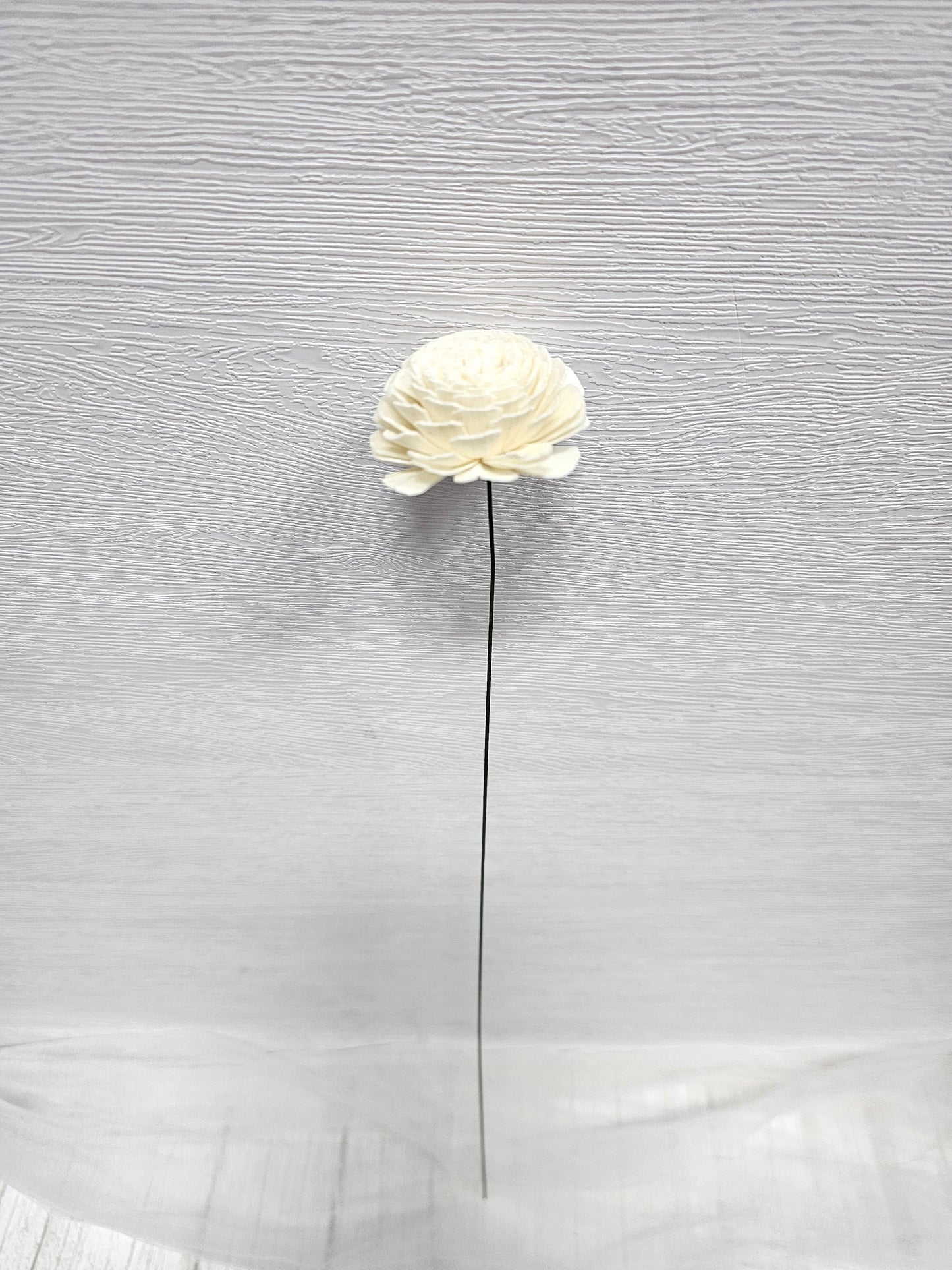 Sola Wood Flowers (In Various Shapes and Designs)