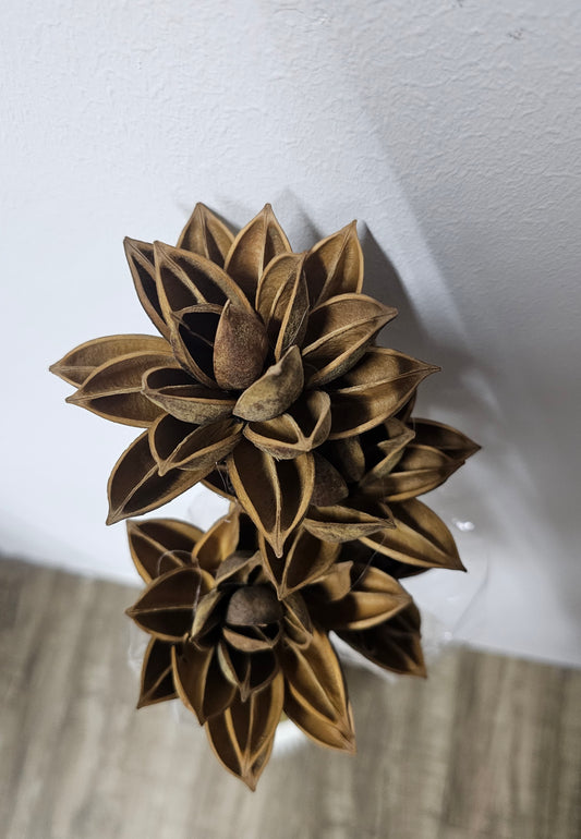 Lotus Wood Flower / Handmade Dactylicapnos scandens (Bunch of 4)