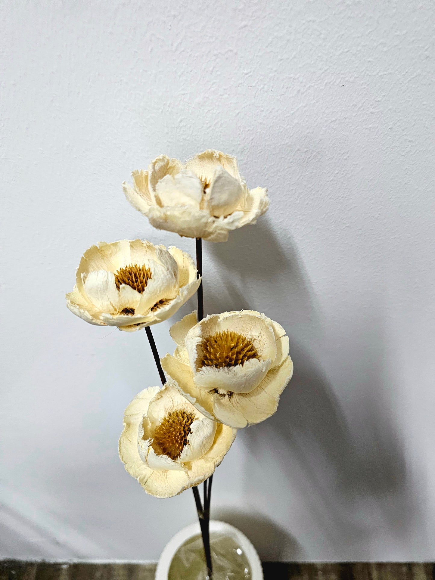 Daisy (Wood Flower)