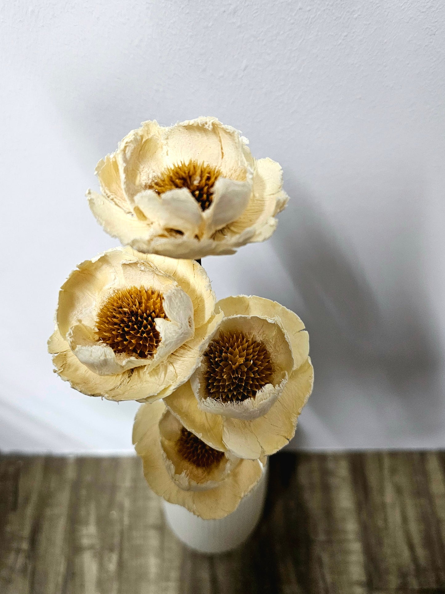 Daisy (Wood Flower)