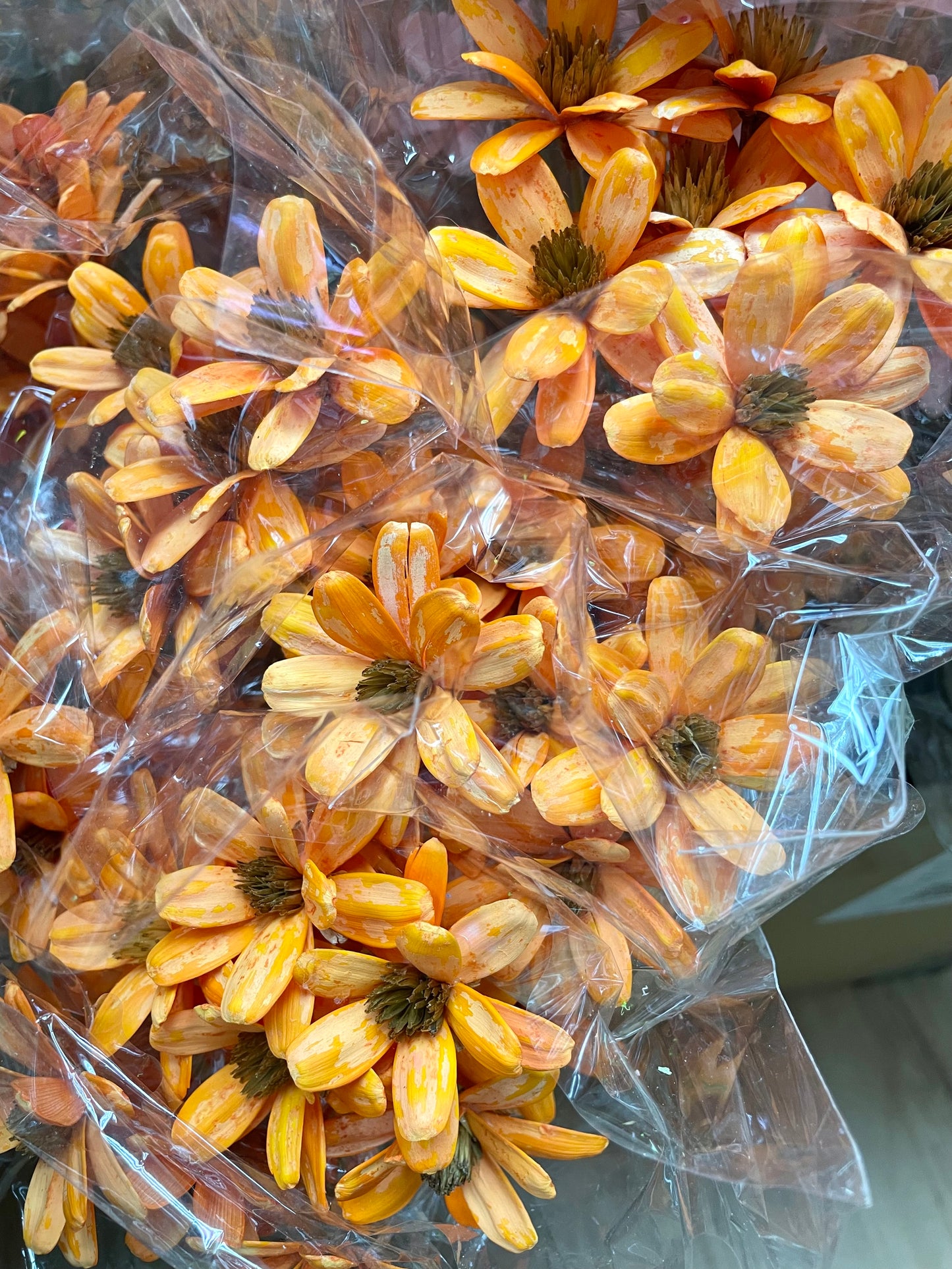 Japanese Seed Wood Flower