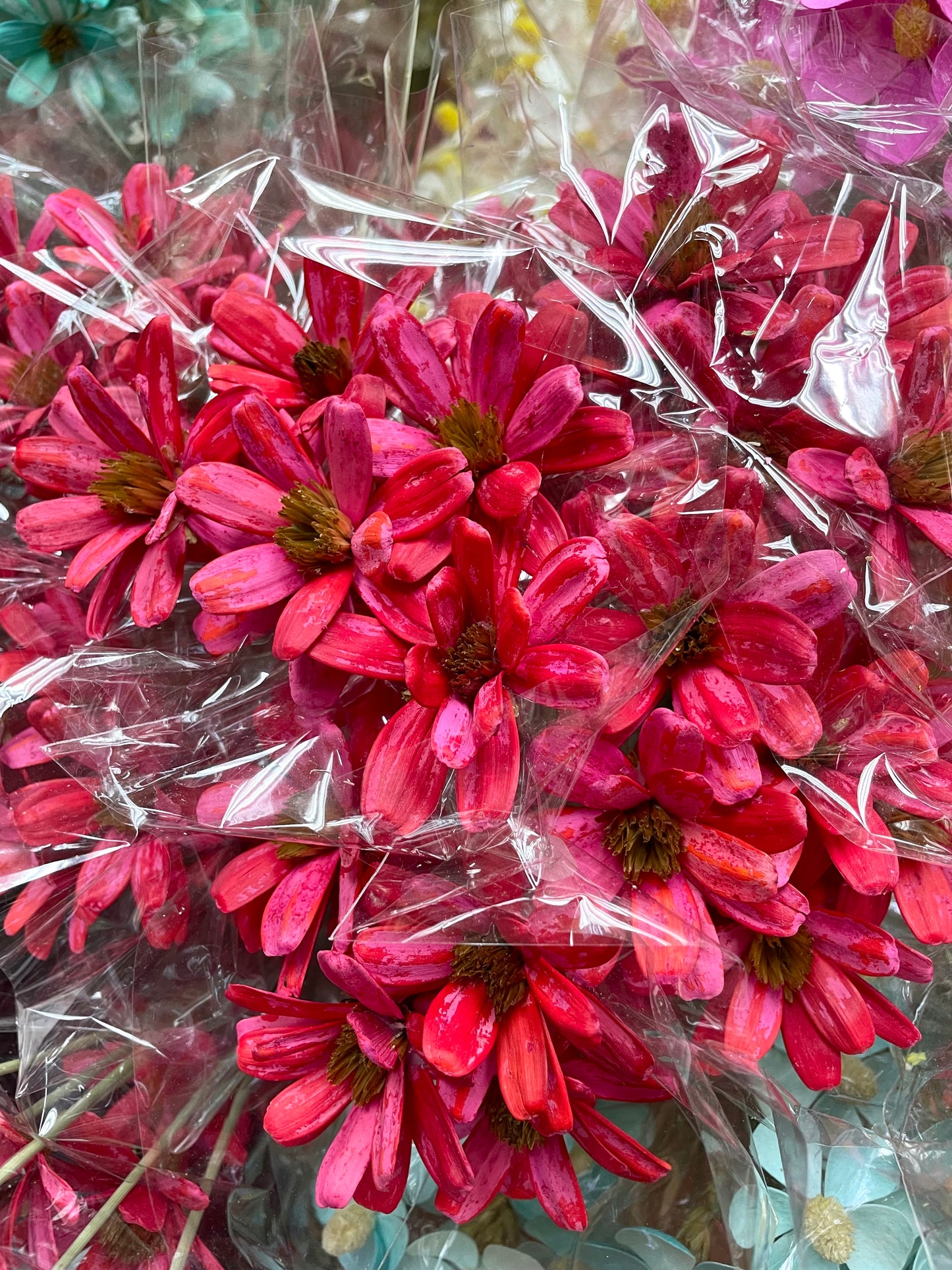 Japanese Seed Wood Flower