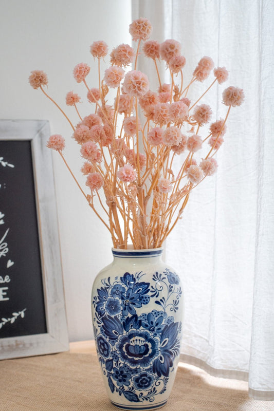 Preserved Windmill Fruit Flower / Morning Bride