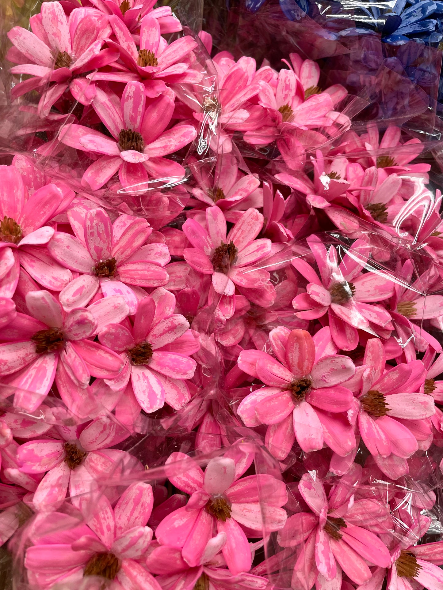 Japanese Seed Wood Flower