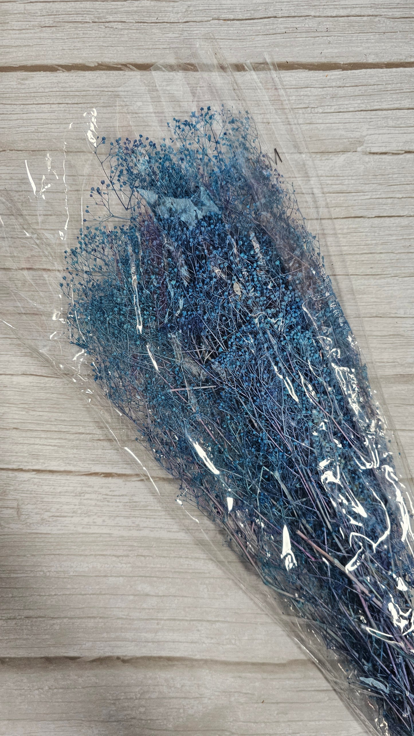 Preserved Dream Star Flower / Lamae