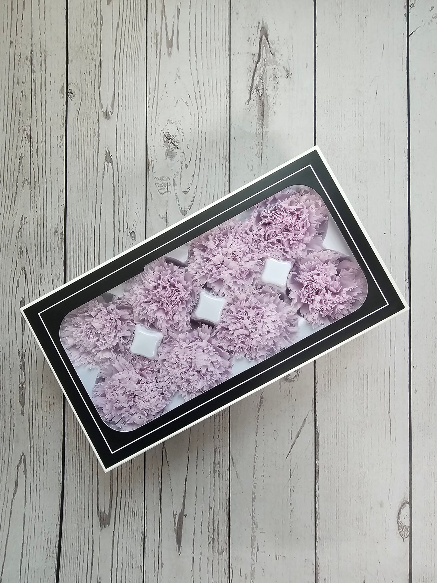 Preserved Carnations