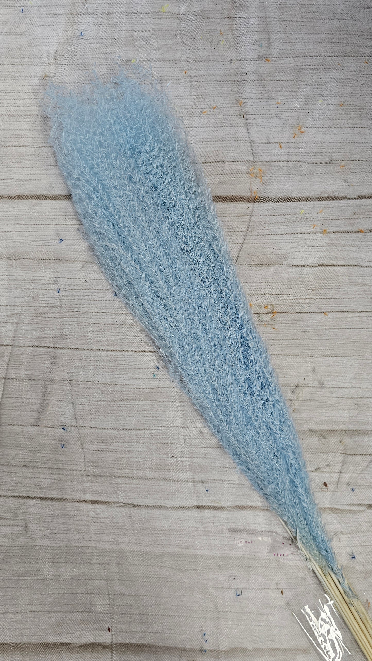 Preserved Oatspray-brush / Fly Whisk