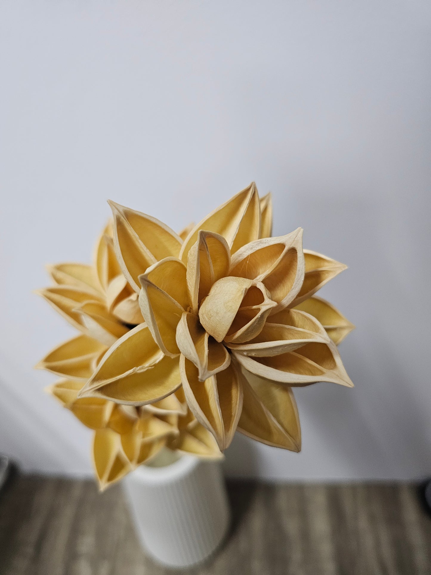 Lotus Wood Flower / Handmade Dactylicapnos scandens (Bunch of 4)