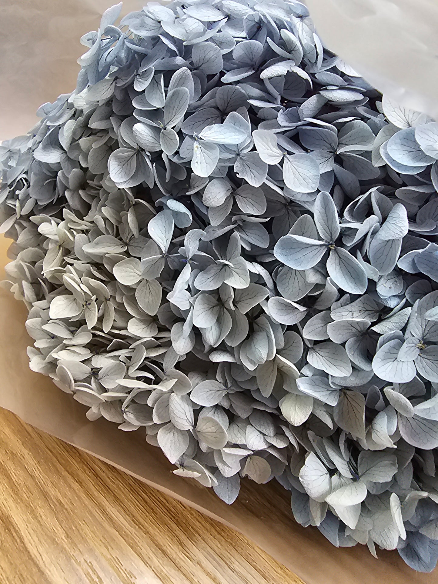 Preserved Hydrangeas (Stem)