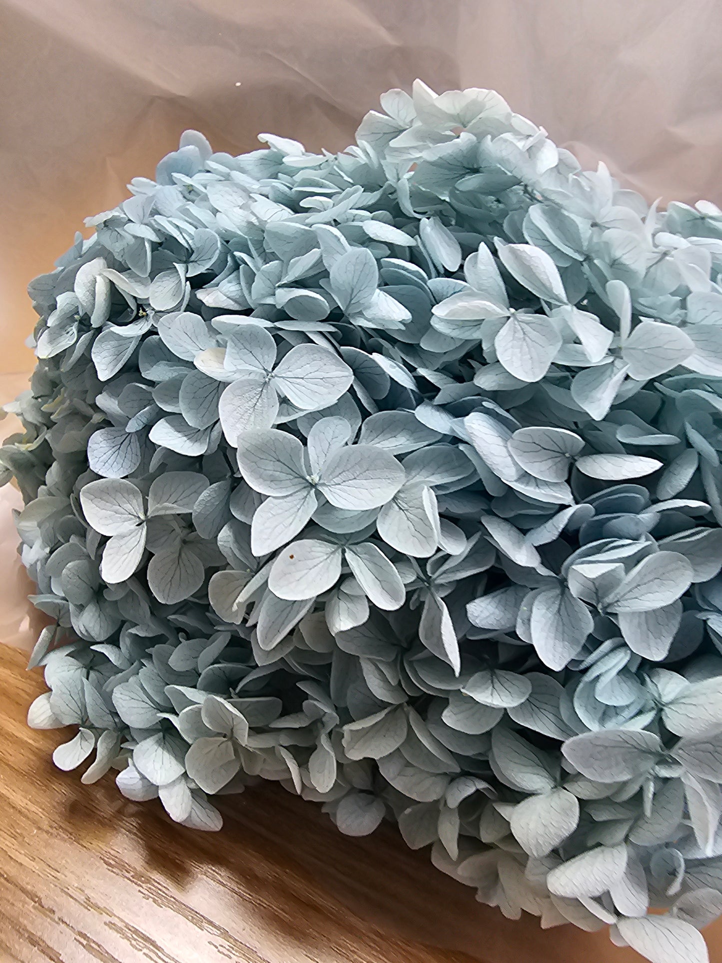 Preserved Hydrangeas (Stem)
