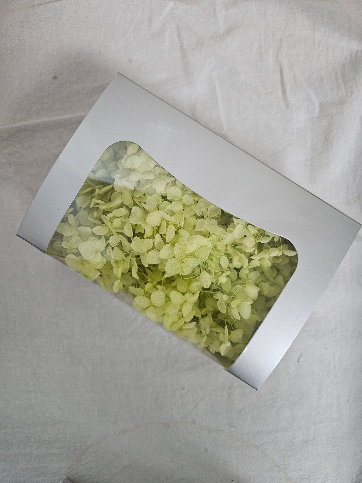 Preserved Hydrangeas (Box)