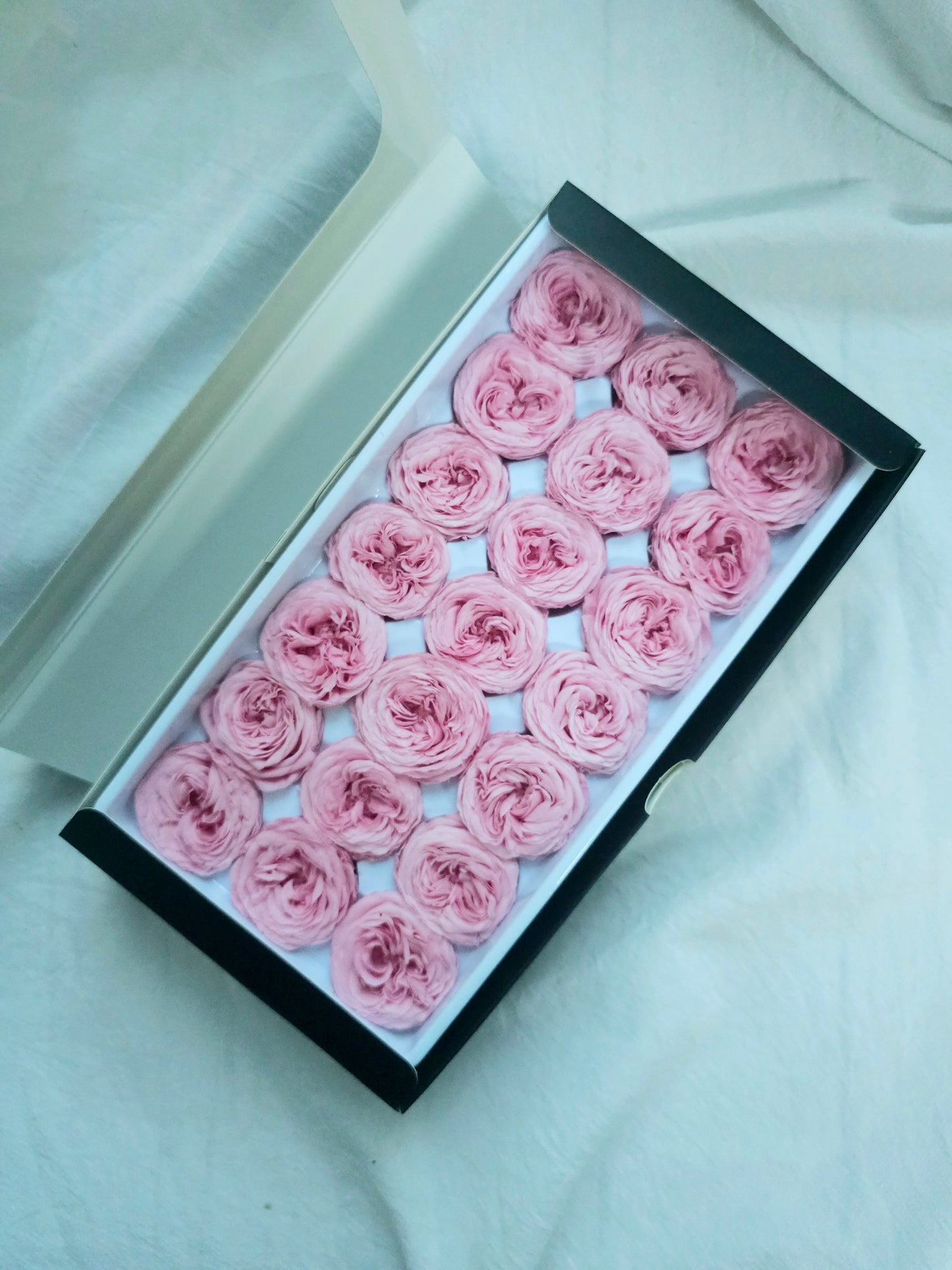 Preserved Mini Austin Roses
