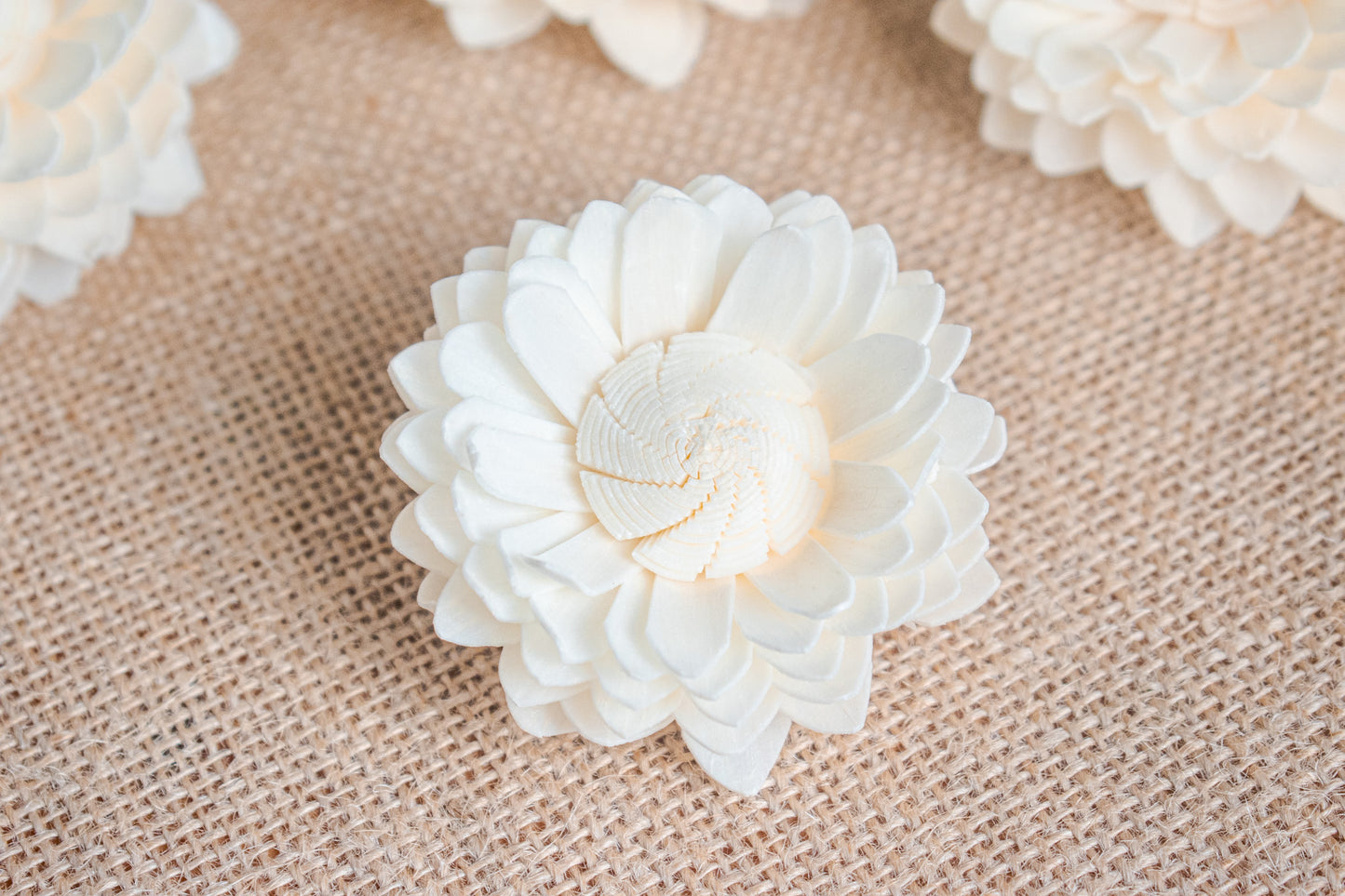 Sola Wood Flowers (In Various Shapes and Designs)
