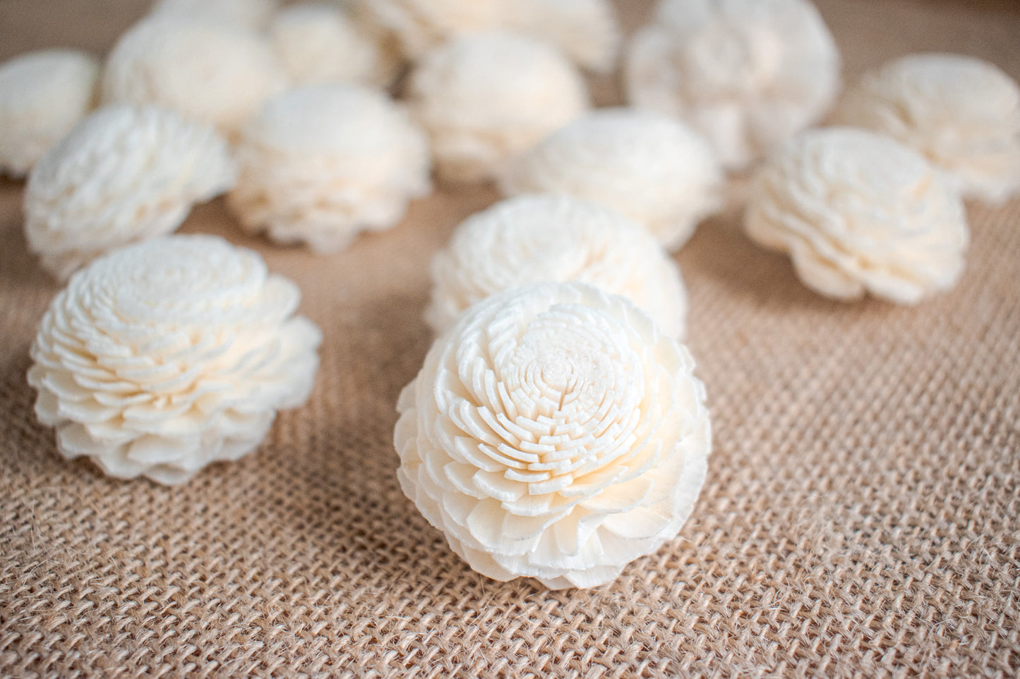 Sola Wood Flowers (In Various Shapes and Designs)