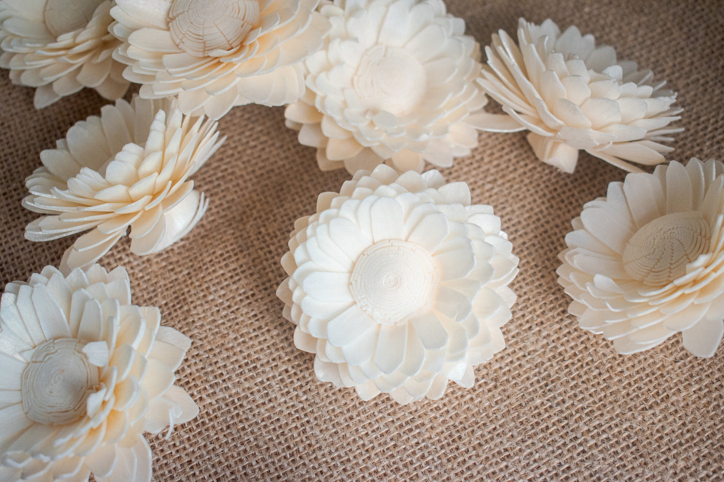 Sola Wood Flowers (In Various Shapes and Designs)