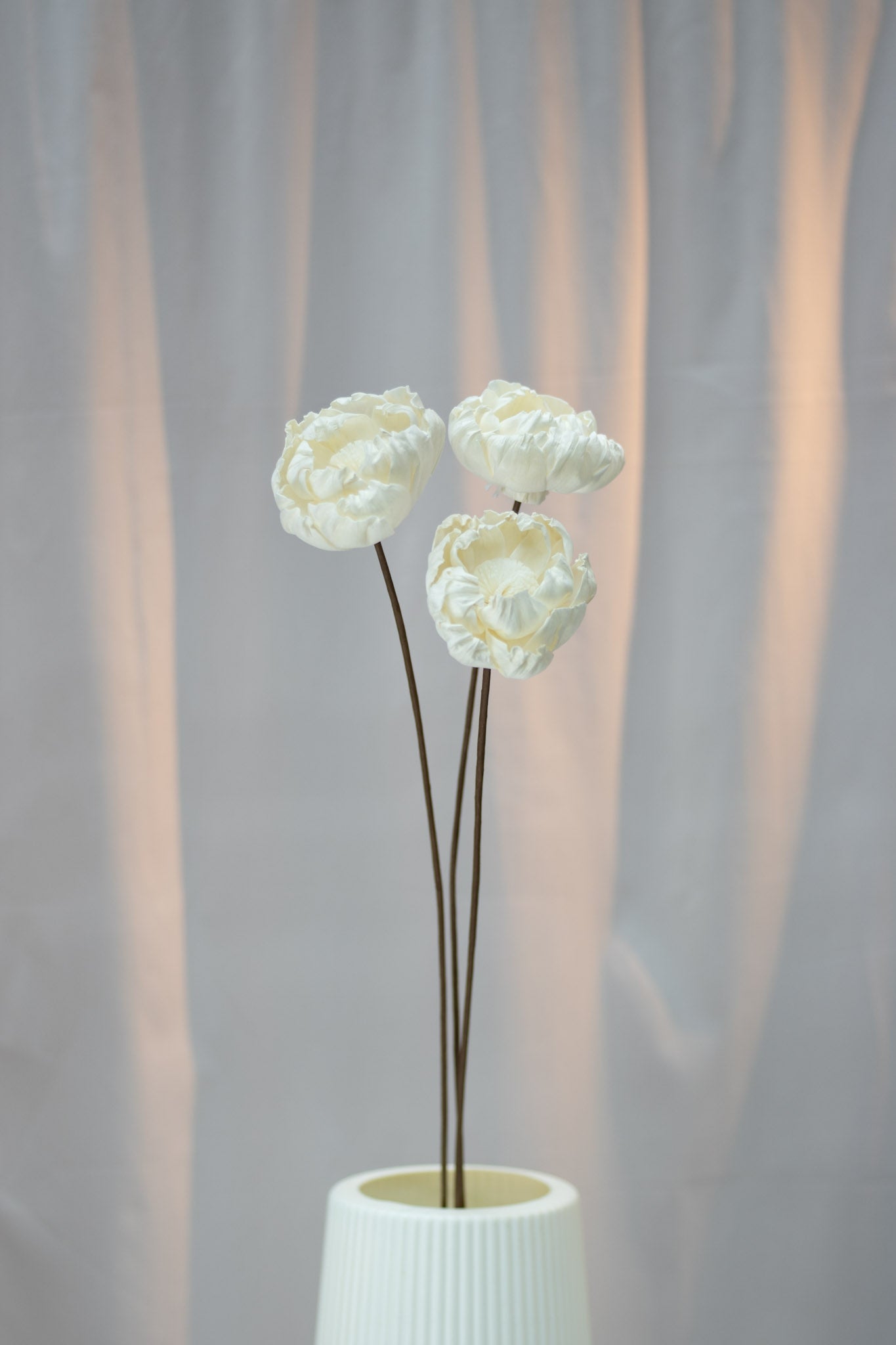 Peony Sola Flower (Single Stalk)