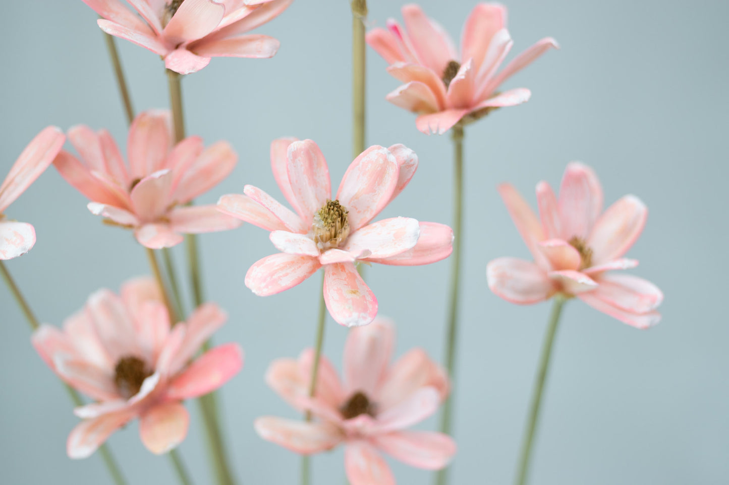 Japanese Seed Wood Flower