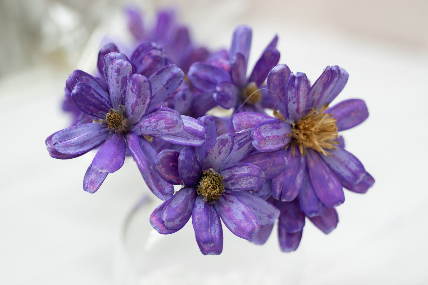 Japanese Seed Wood Flower