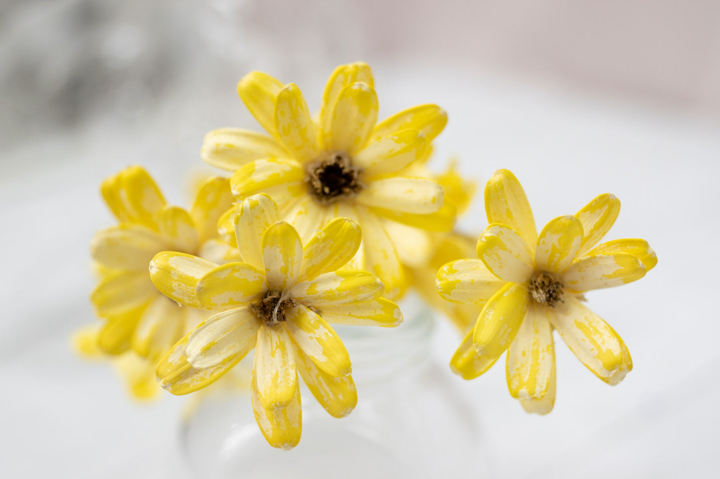 Japanese Seed Wood Flower