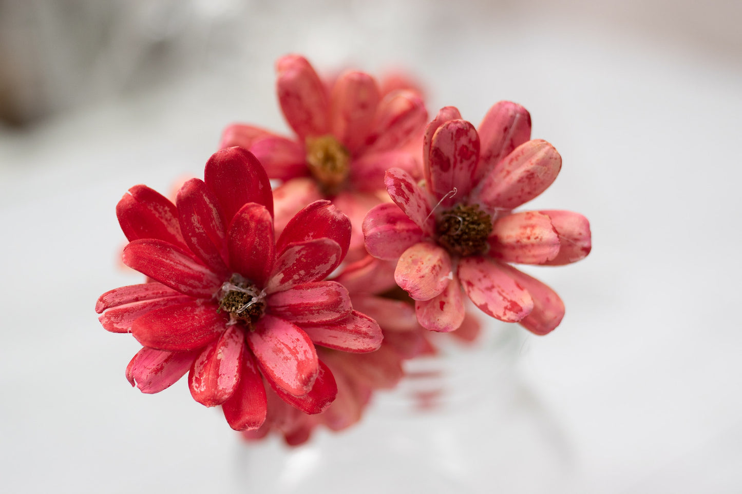 Japanese Seed Wood Flower