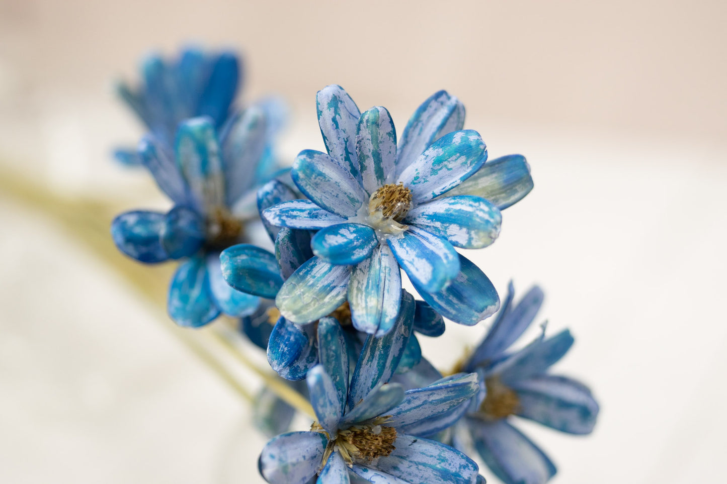 Japanese Seed Wood Flower