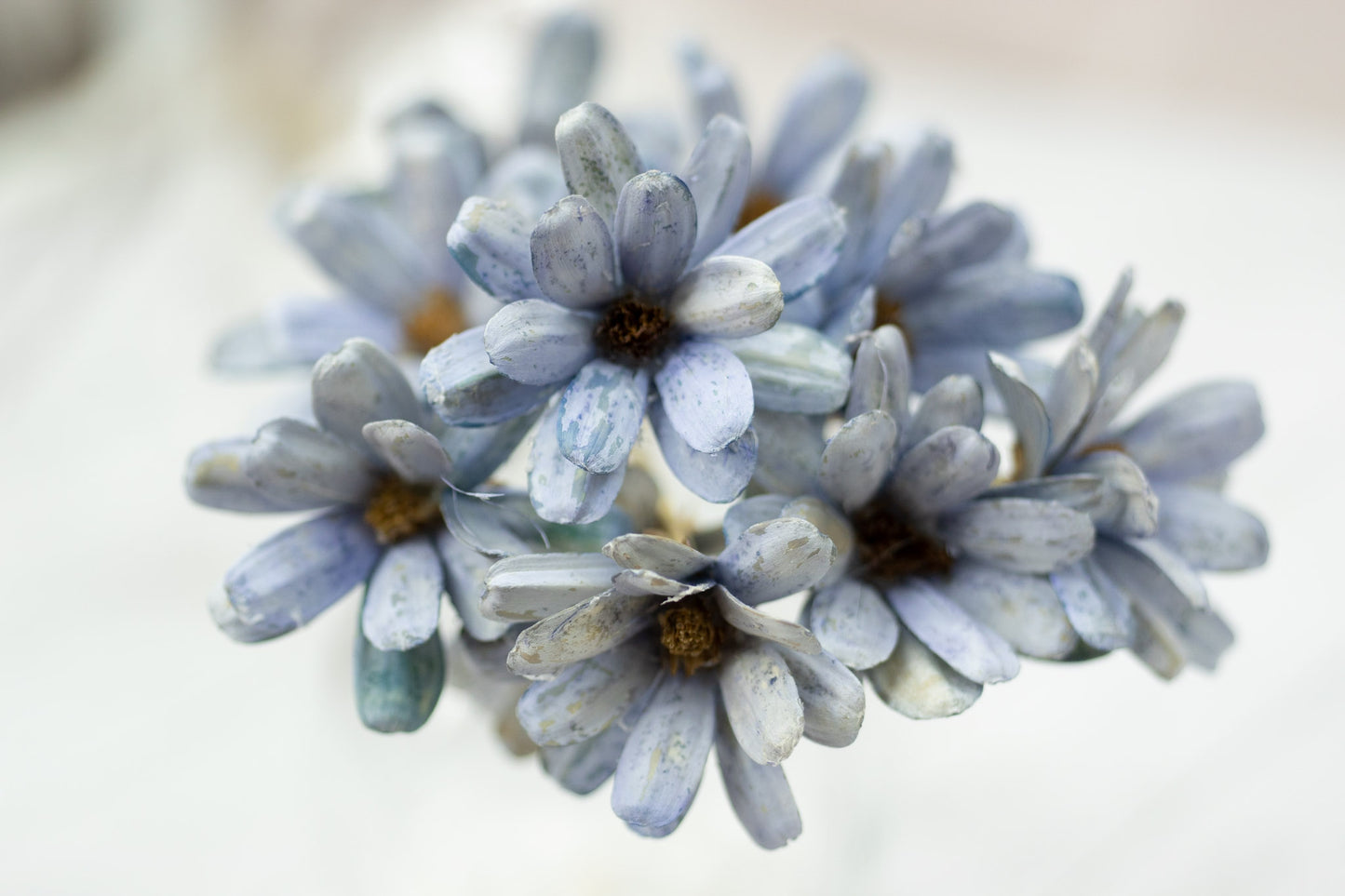 Japanese Seed Wood Flower