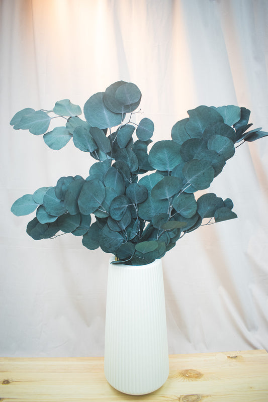 Preserved Apple Leaf Eucalyptus
