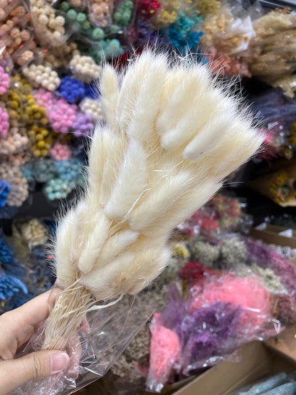 Preserved Bunny Tails