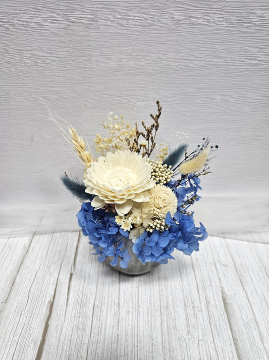 Blue Beauty in a Vase