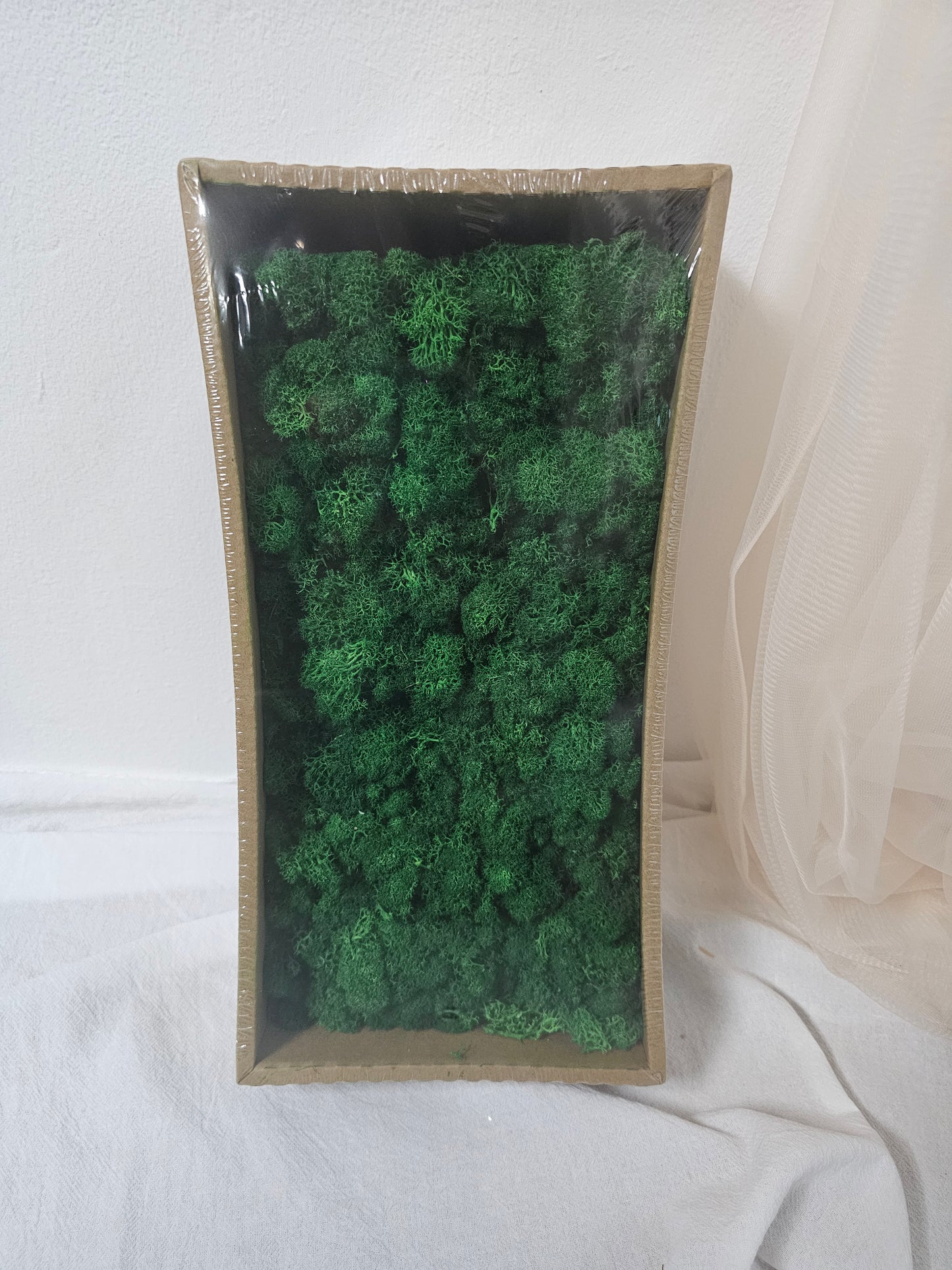 Preserved Flower Moss