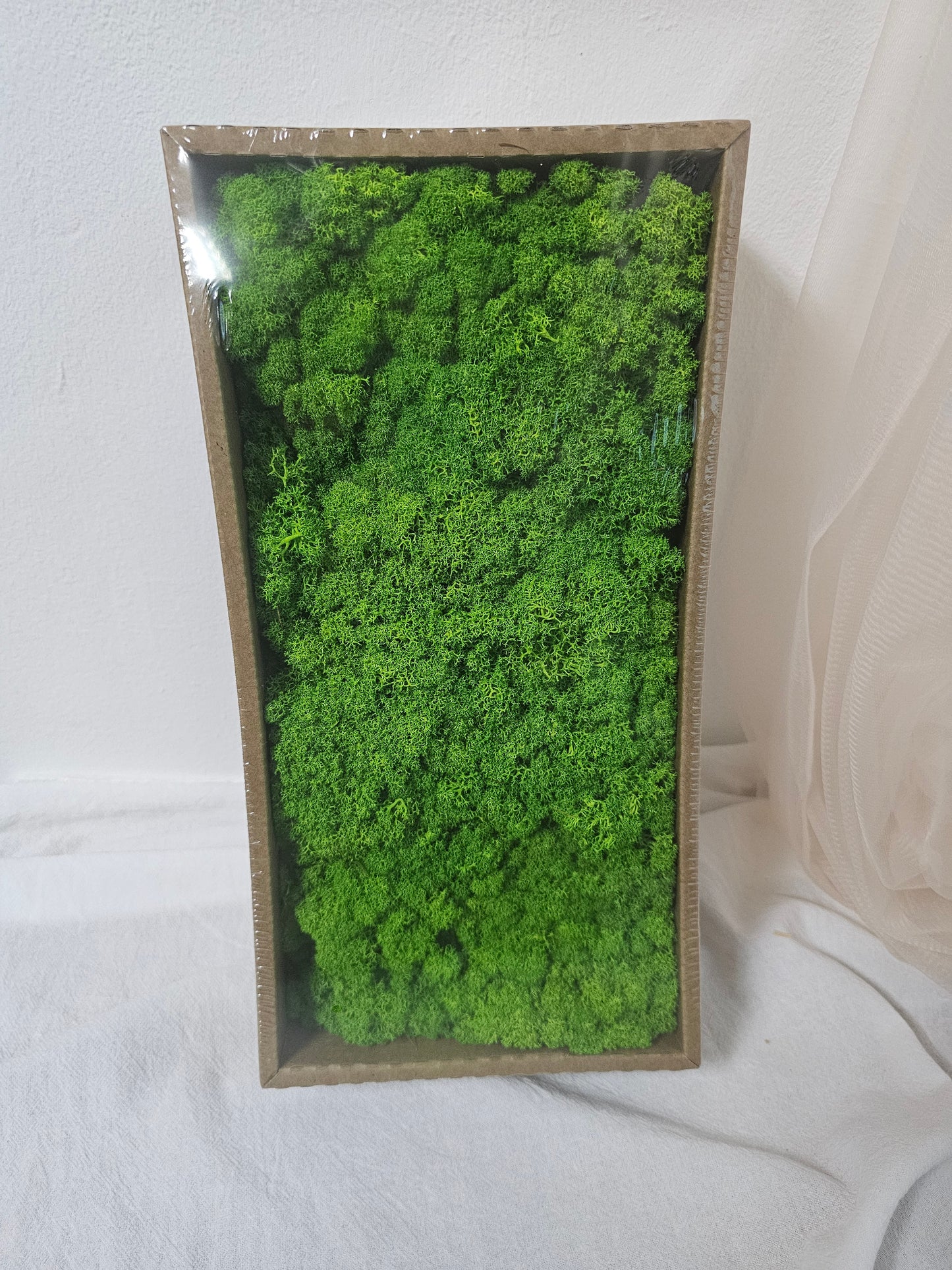 Preserved Flower Moss