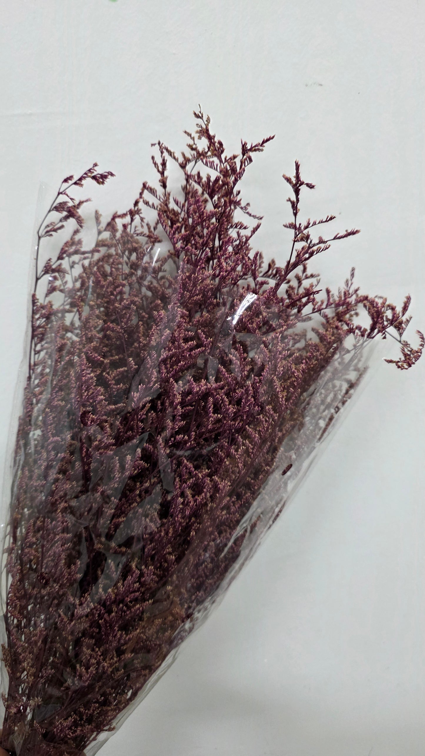 Preserved Limonium