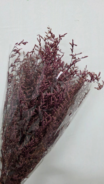 Preserved Limonium