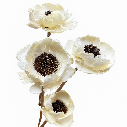Daisy (Wood Flower)