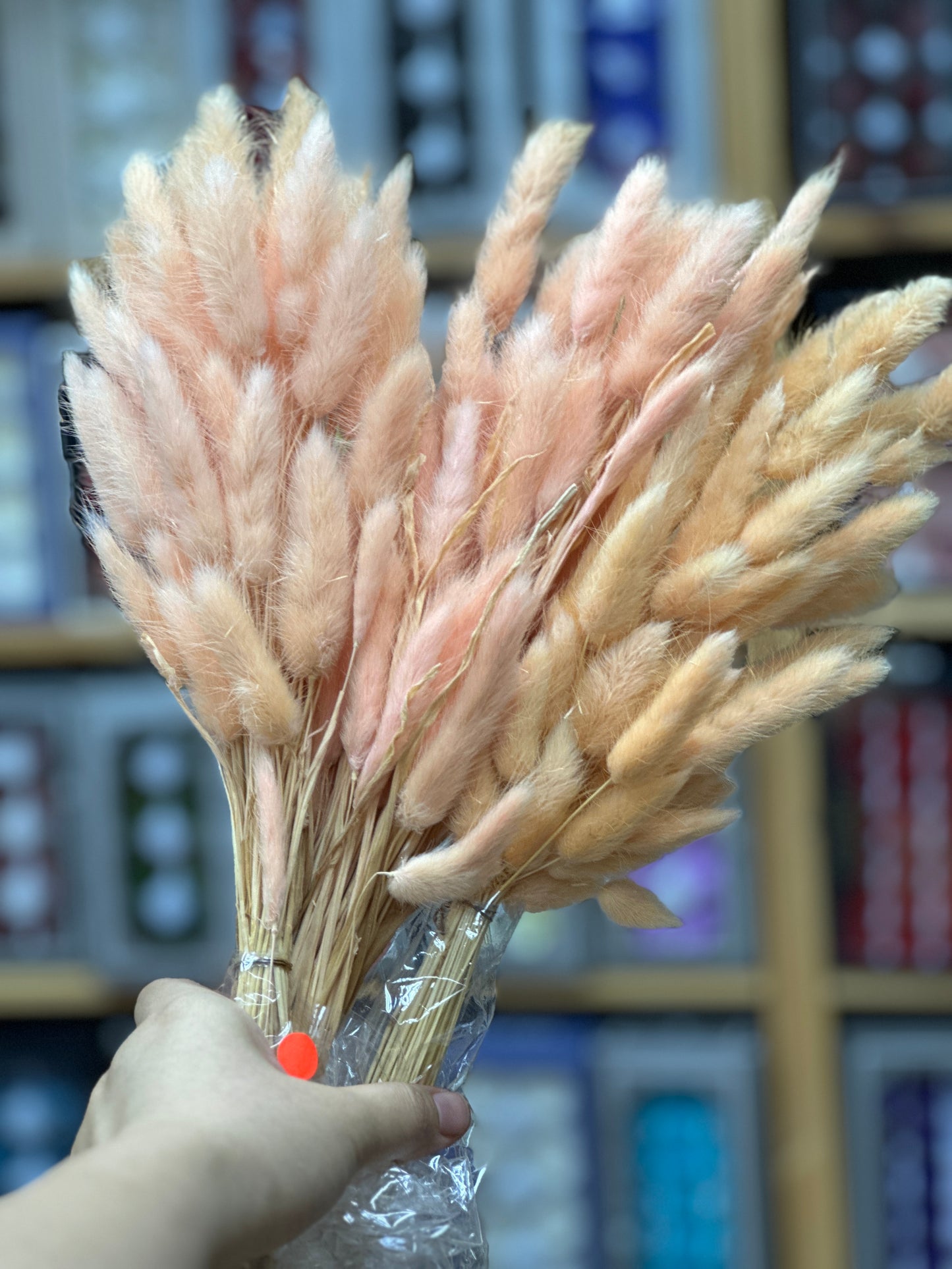 Preserved Bunny Tails