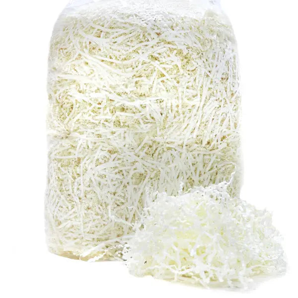 Shredded Paper