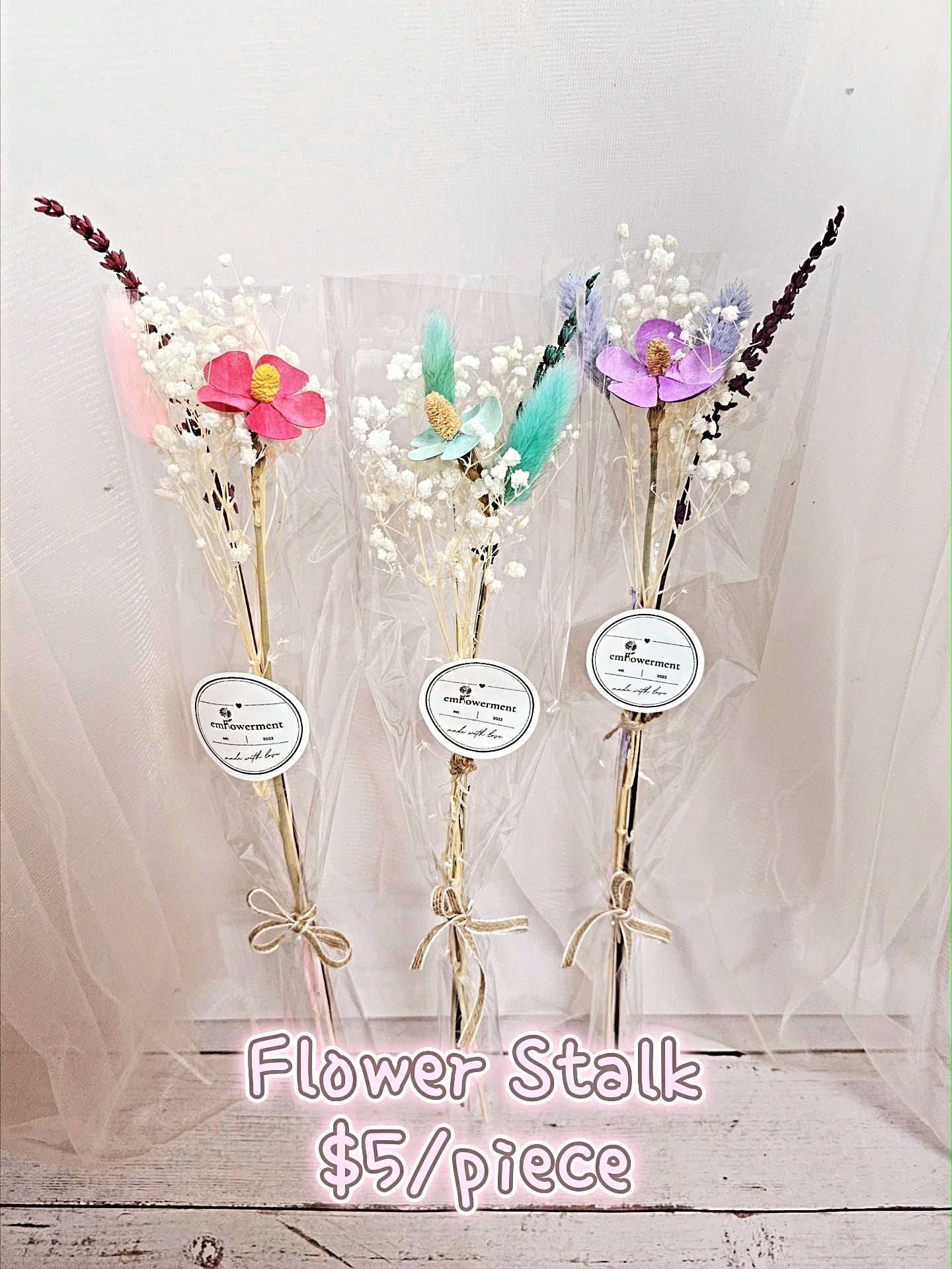 Teacher's Day Collection