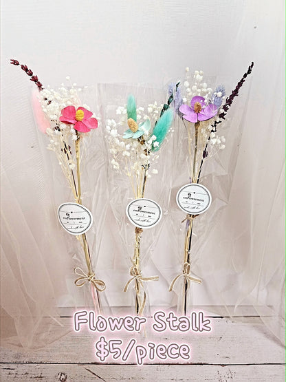 Teacher's Day Collection