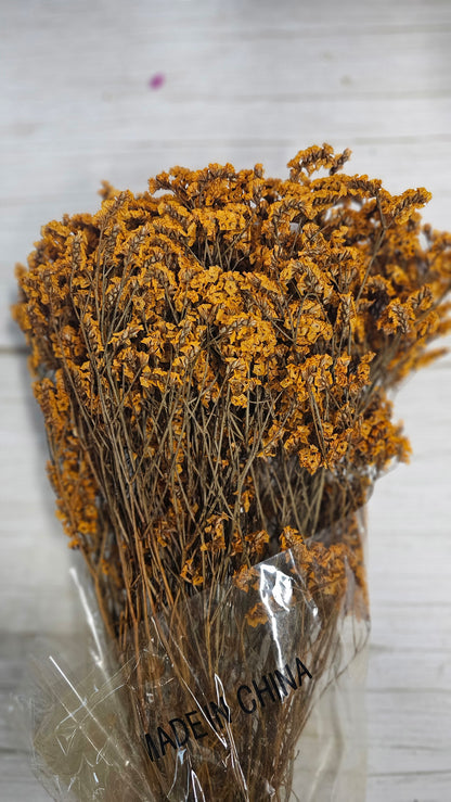 Preserved Caspia / Crystal Grass