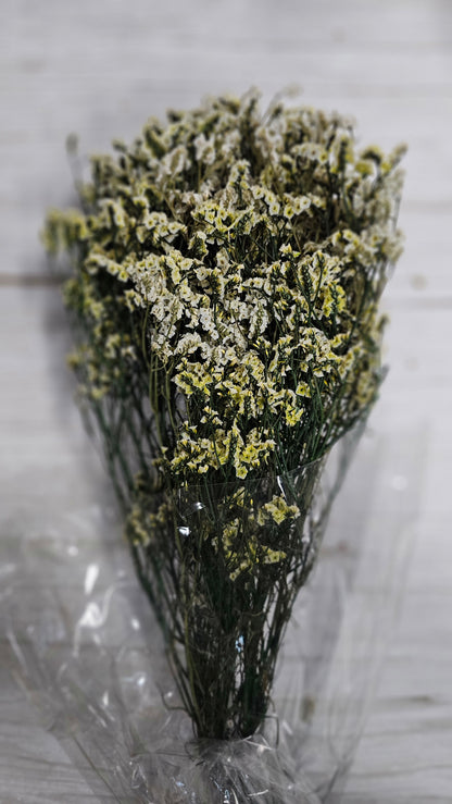 Preserved Caspia / Crystal Grass