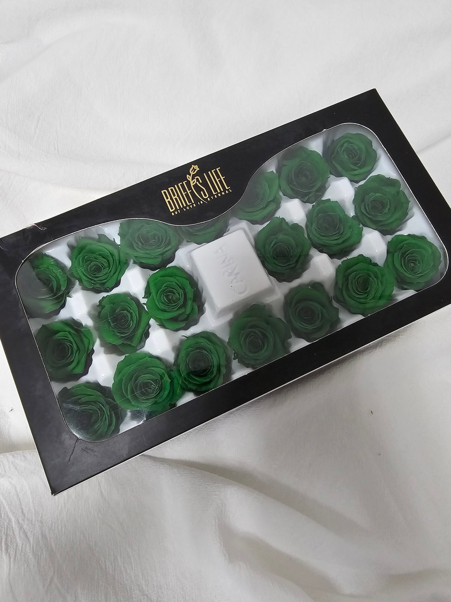 Preserved Mini Roses