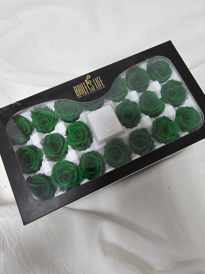 Preserved Mini Roses