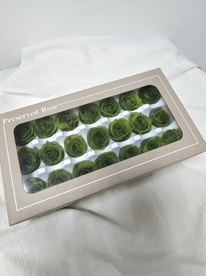 Preserved Mini Roses