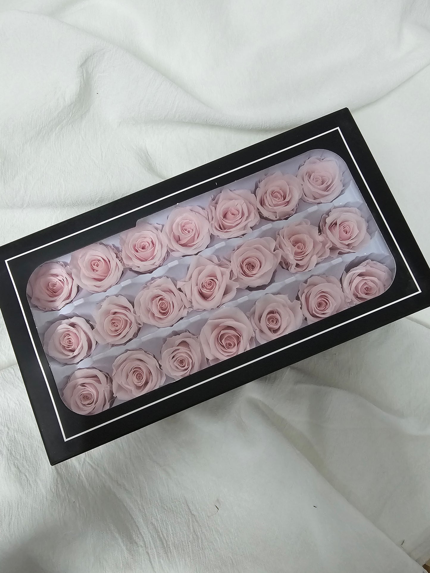 Preserved Mini Roses