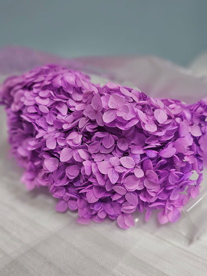 Preserved Hydrangeas (Stem)