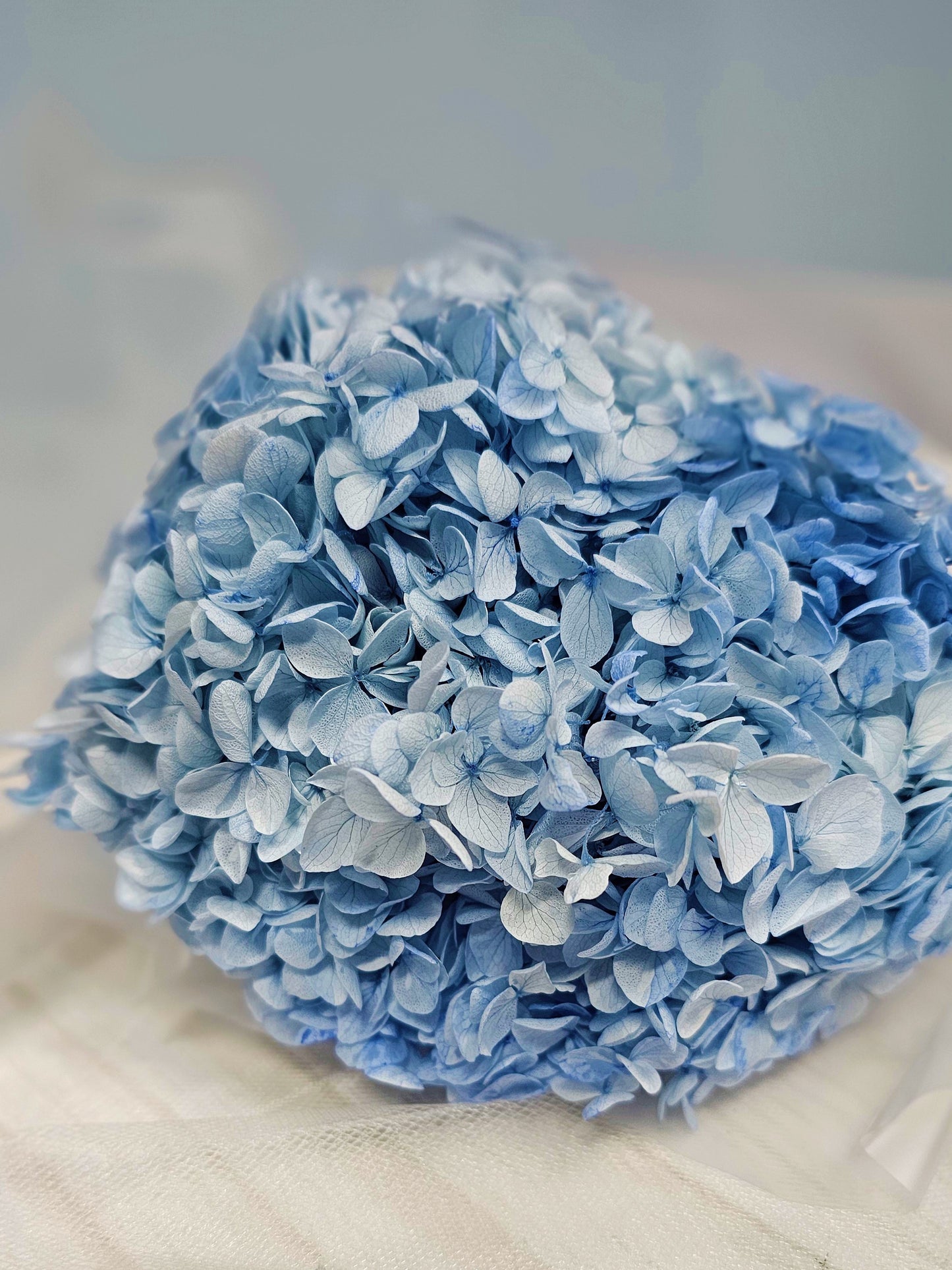 Preserved Hydrangeas (Stem)