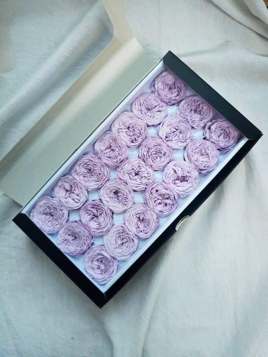 Preserved Mini Austin Roses
