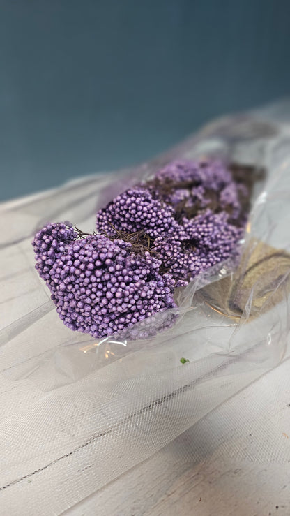 Preserved Rice Flower